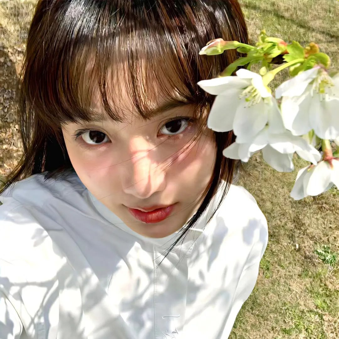 永远的忍者神龟